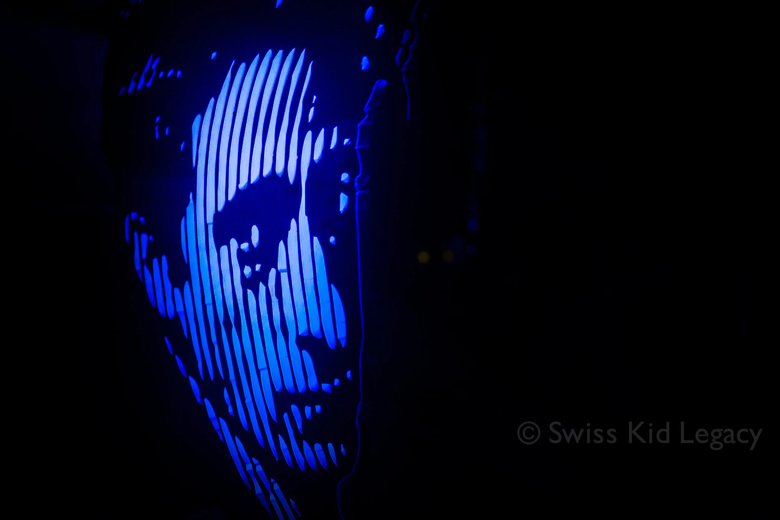 Cannes11.jpg