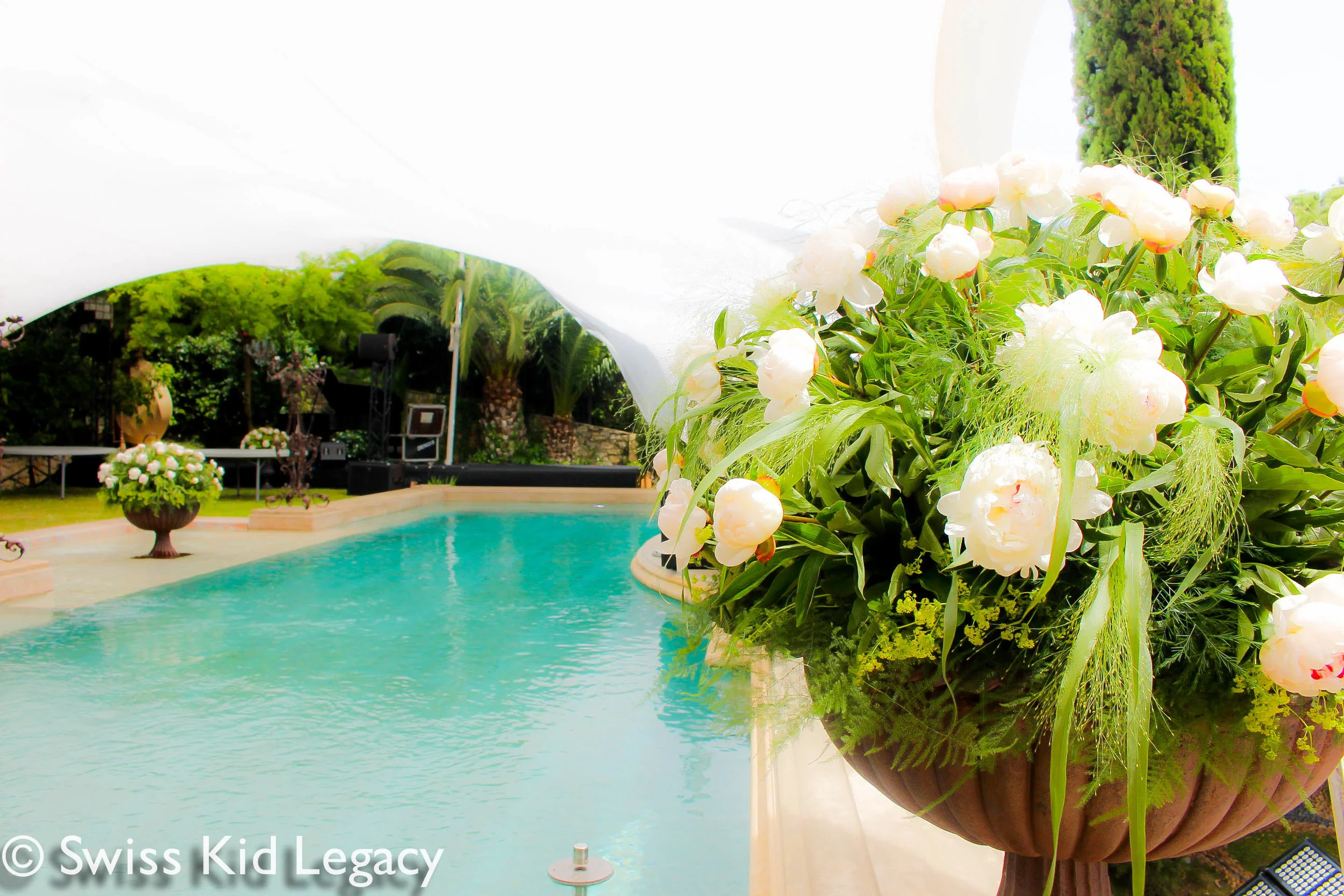 PreCannes15.jpg