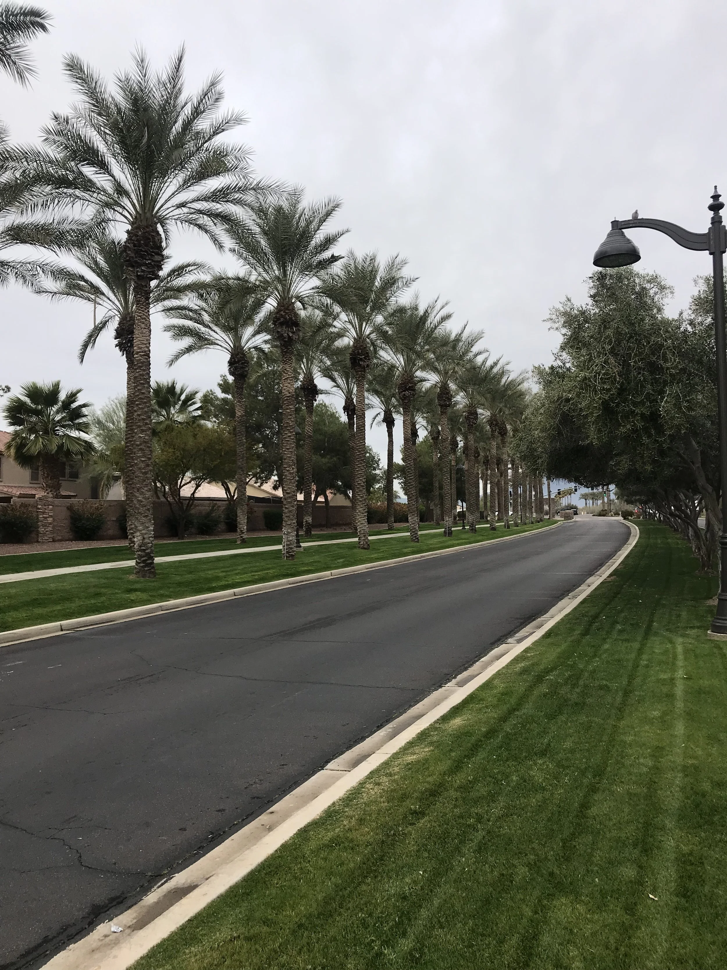 Rancho El Dorado Homeowners Association — ProQual Landscaping