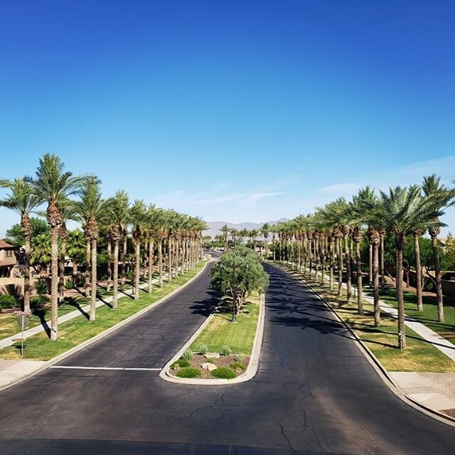One of our Arbor Division crew members caught a great picture last week, from his perspective, while up trimming the Palm Trees at the beautiful entrance at Rancho El Dorado HOA.