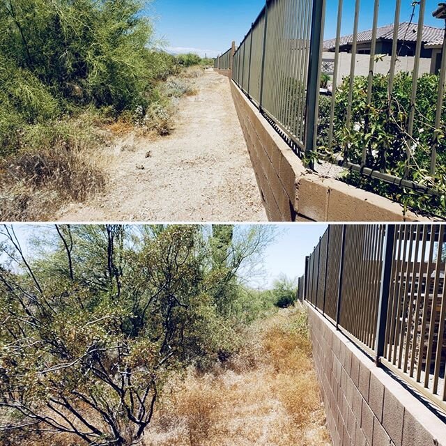 Several of our communities across the valley are designed to be integrated into the surrounding Sonoran Desert. 🌵 Though beautiful, there is high risk, if not cared for properly! 
Our Enhancement crews are knocking out over 20 miles of Fire Zone Cle