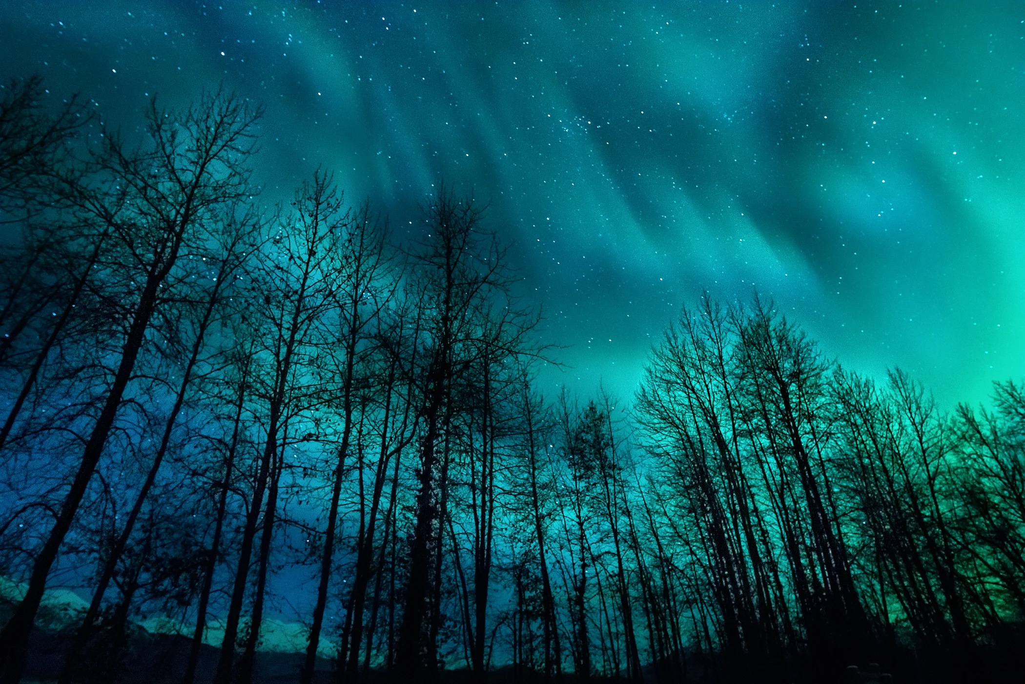 Aurora Borealis, Alaska ©2018 Brian Rivera Uncapher
