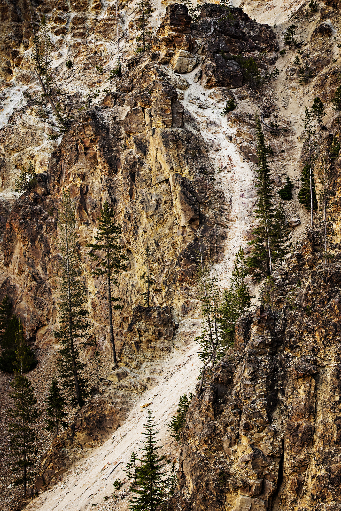 YellowstoneCanyon©BrianRiveraUncapher.jpg