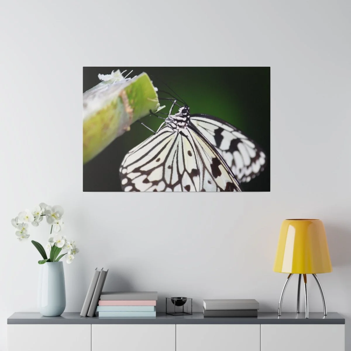 415b02b9ff671f446dd93f2c670f7d7d