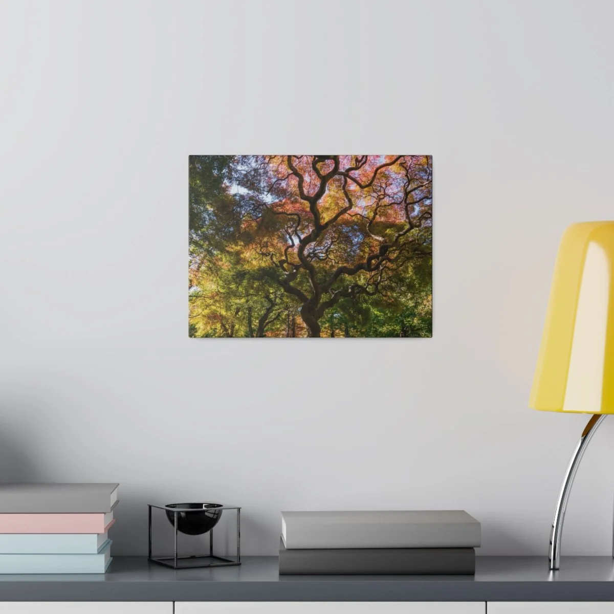 146f52ee7367c6e5e60c50be2d35683c