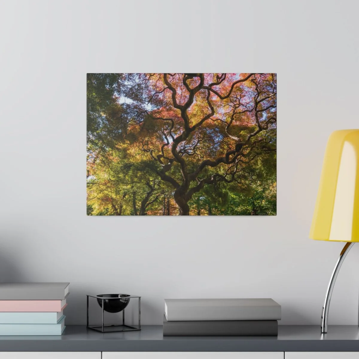 9dc2e0227e761c2ff5a5e2caeb25e9dc