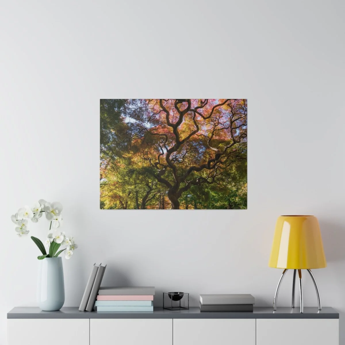 98b0b328ff3d8aa8c62d247365272585