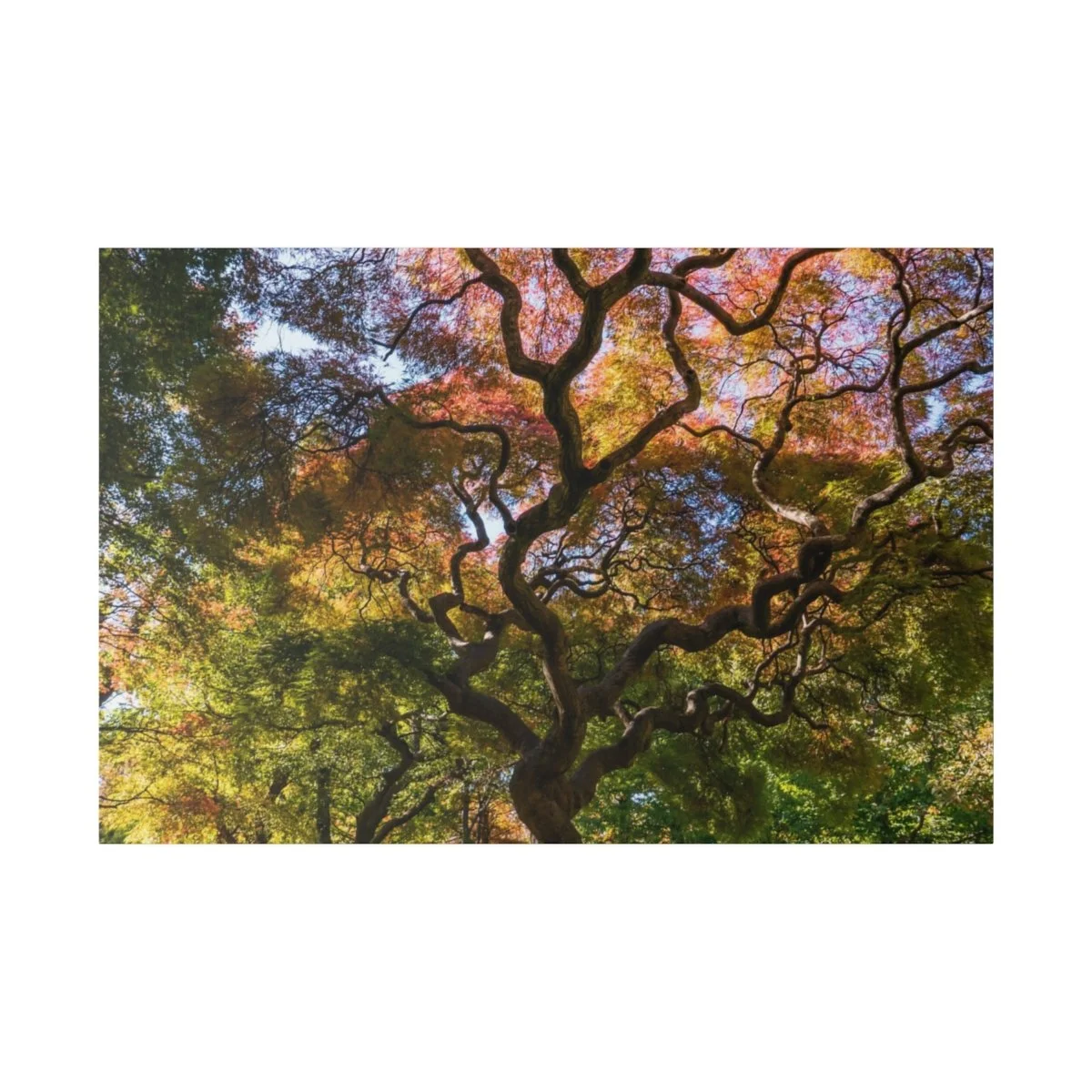 6ea5b7234f70f630d0123fe0693ff197