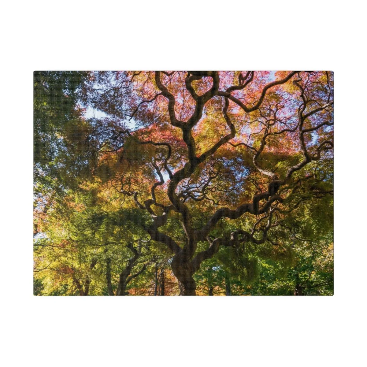 cd9ea324924d8d690f21f956007acf0d