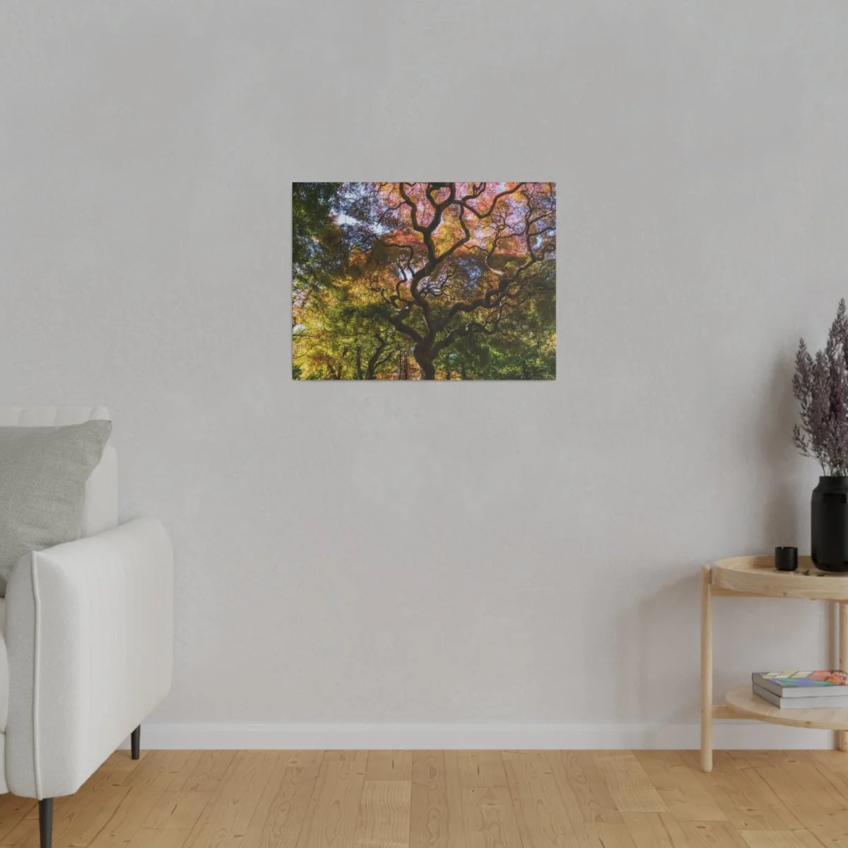 797823e8111b6b781006b73a26837ddb