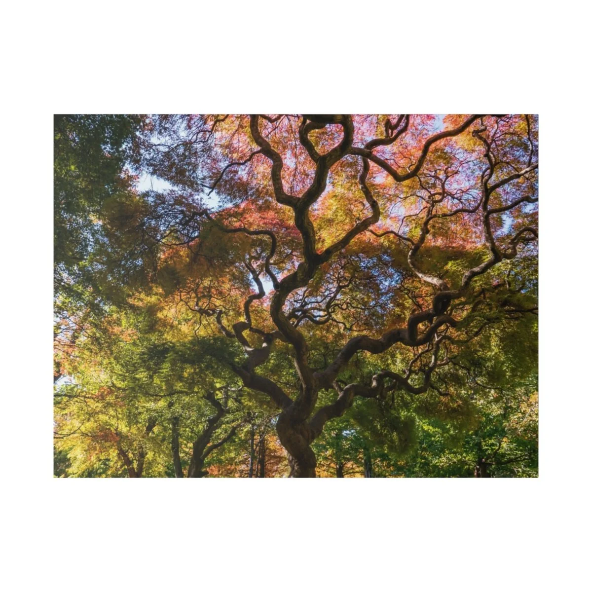 58c66b22a5a21dd4b25e50ff1e7304eb