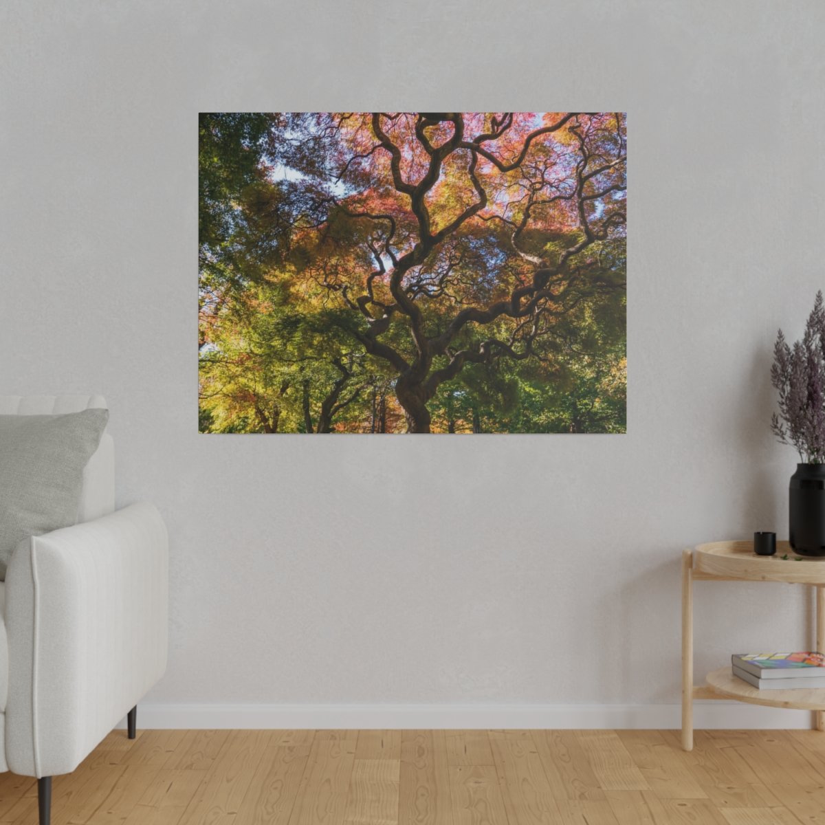 a77bc418a6c29716ec615fa627785f73