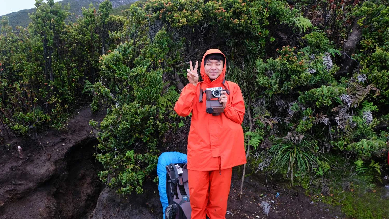 Asoka---Kerinci-7.jpg