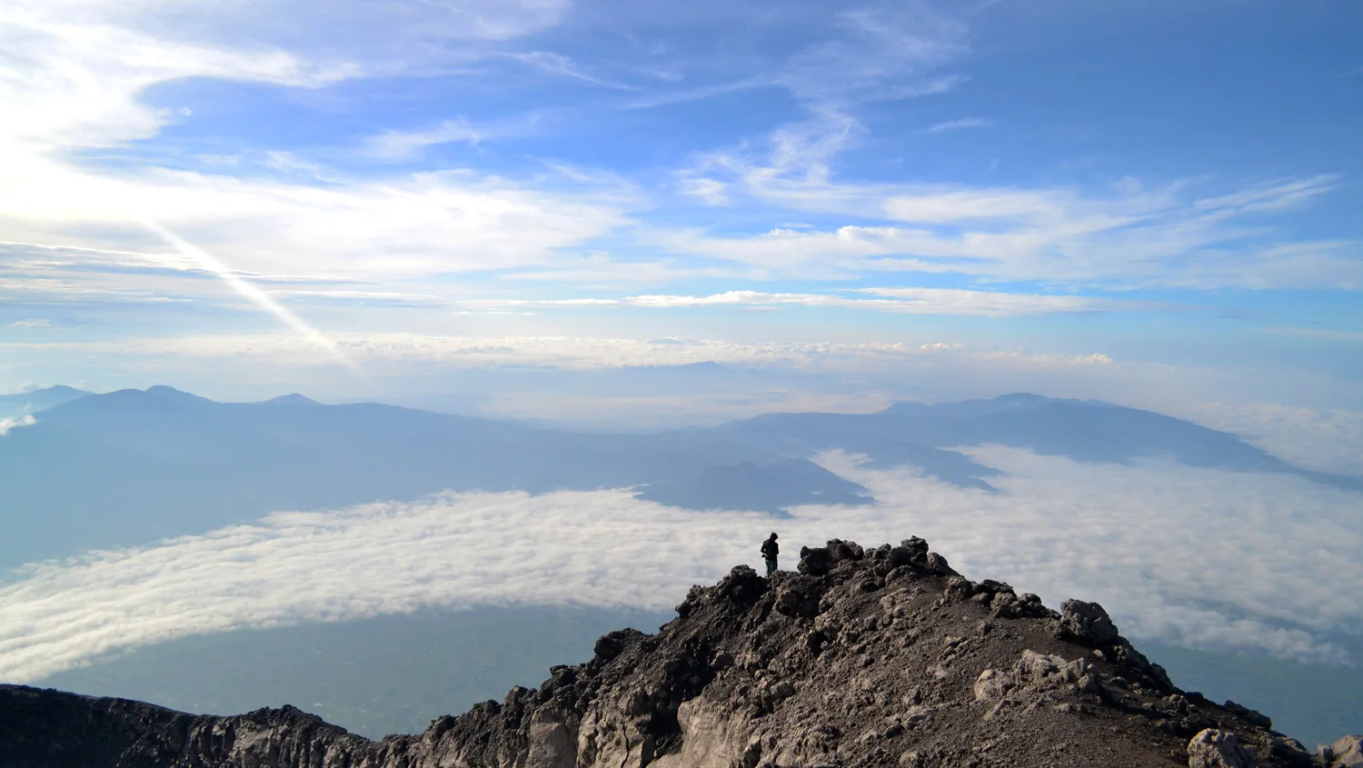 Asoka---Kerinci-3.jpg