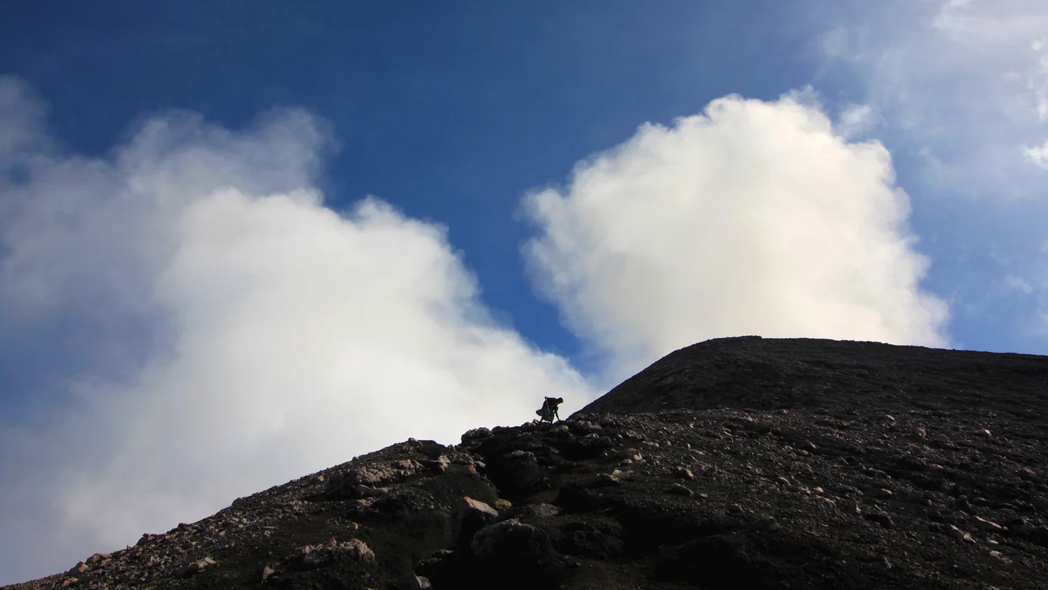 Asoka---Kerinci-16.jpg