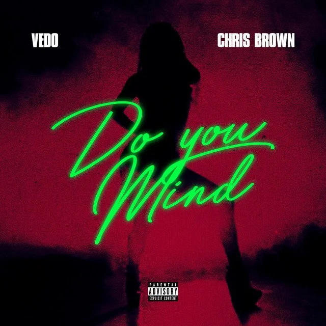 Vedo Ft Chris Brown "Do You Mind"