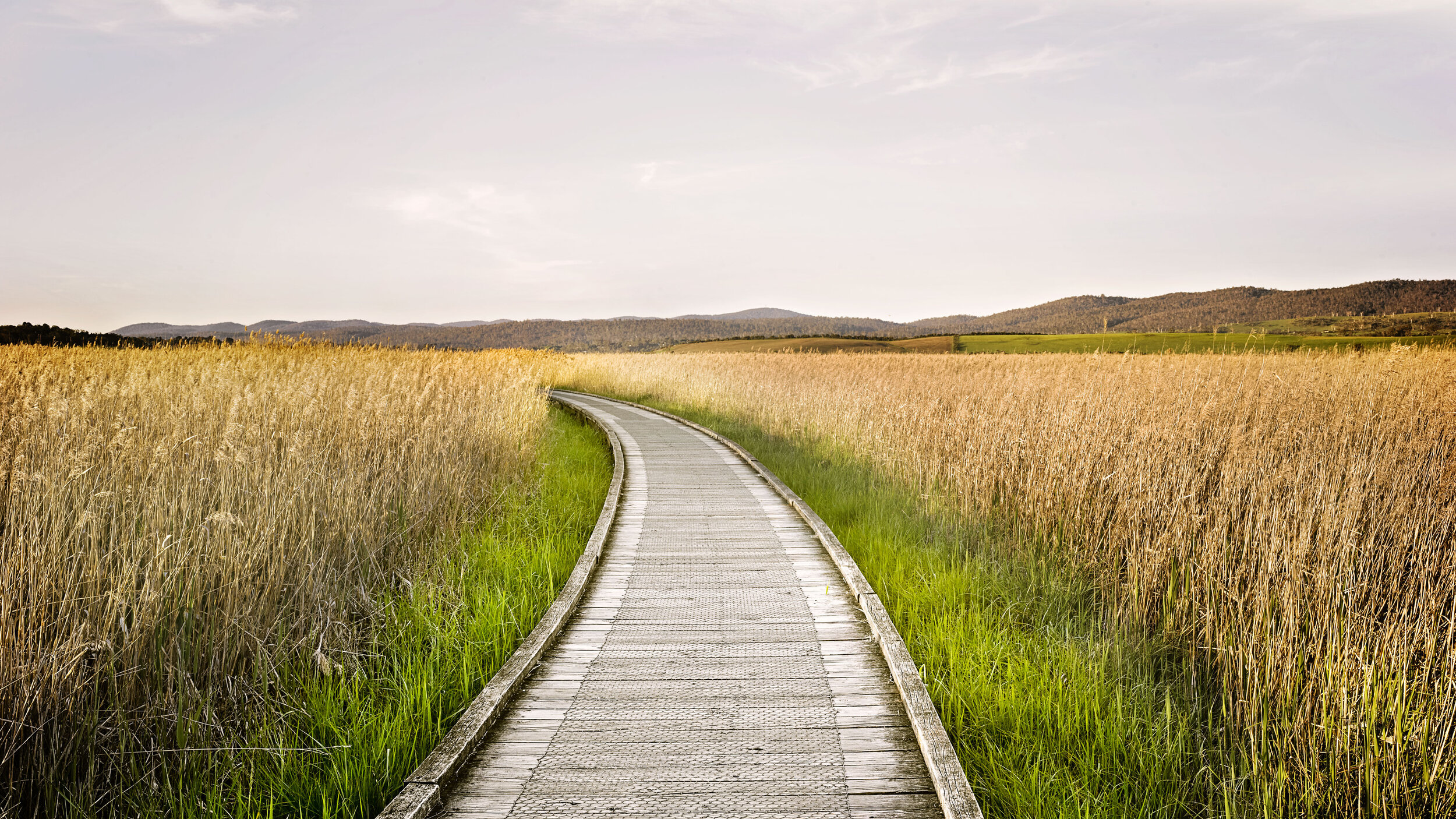 Wetland-Path-01.jpg