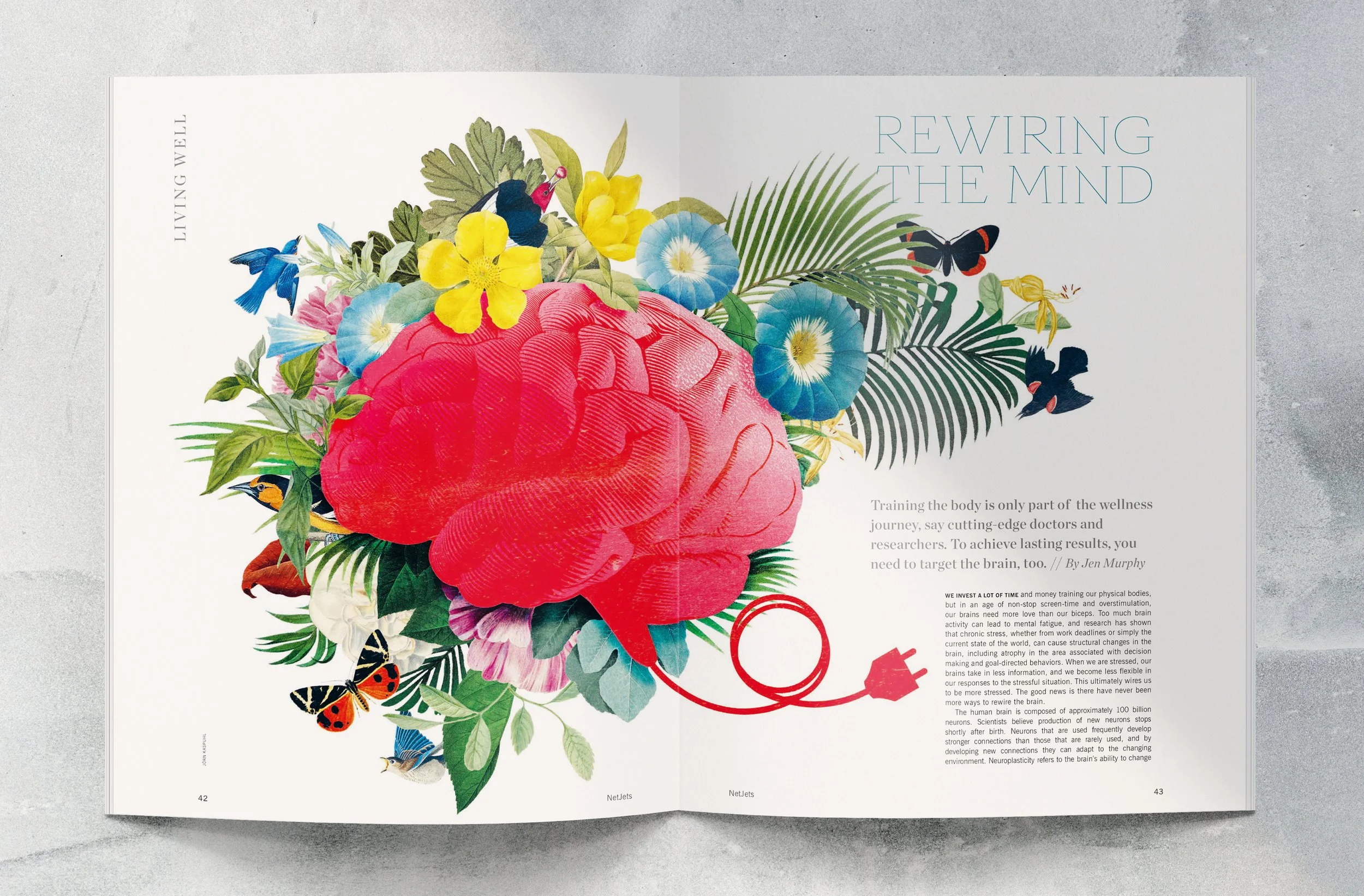 Mockup Netjets Rewiring your Brain.jpg