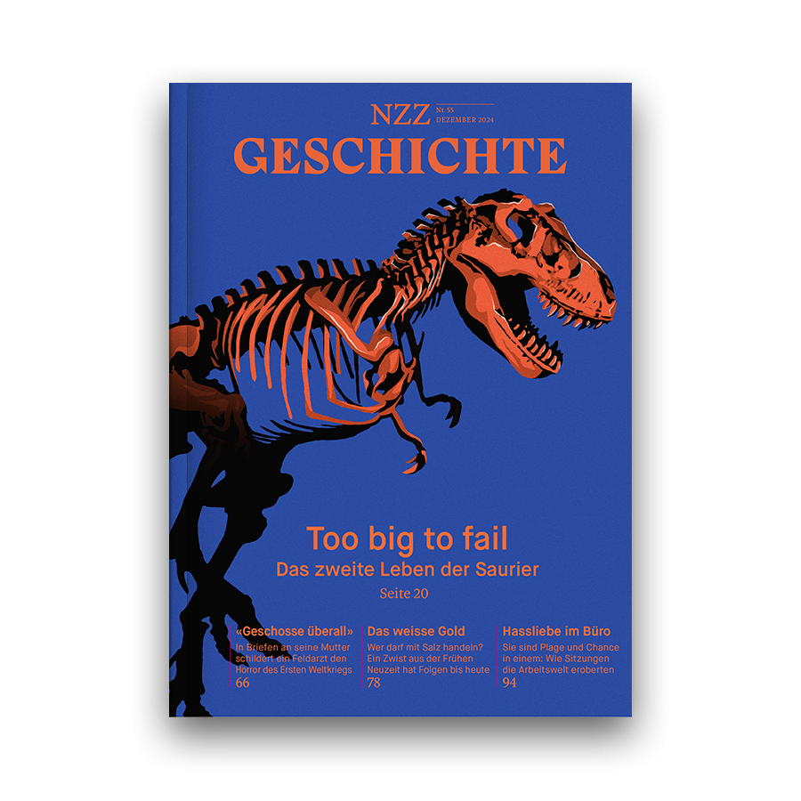 NZZGeschichte_Dezember24_900x900_1920x1920.png