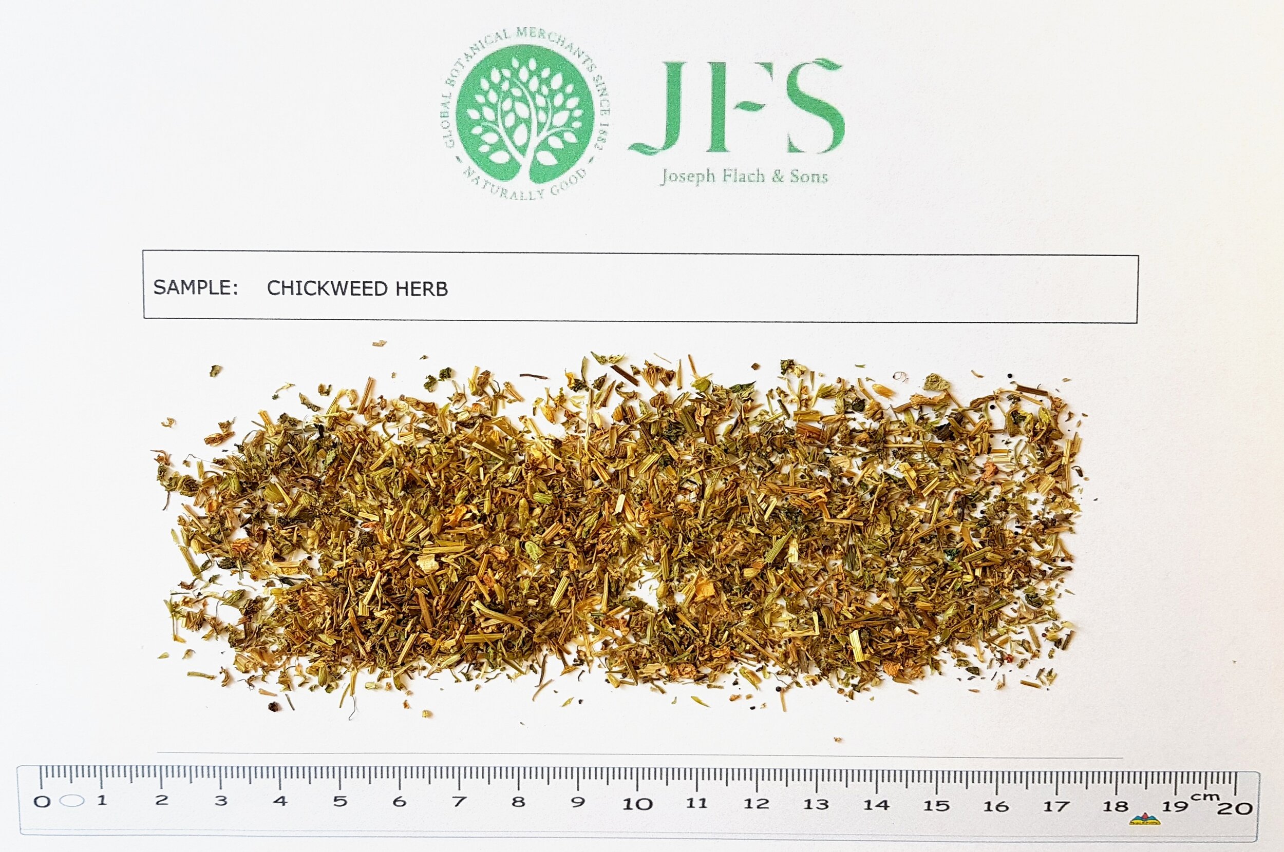 Chickweed+herb+cut+JFS+sample.jpg