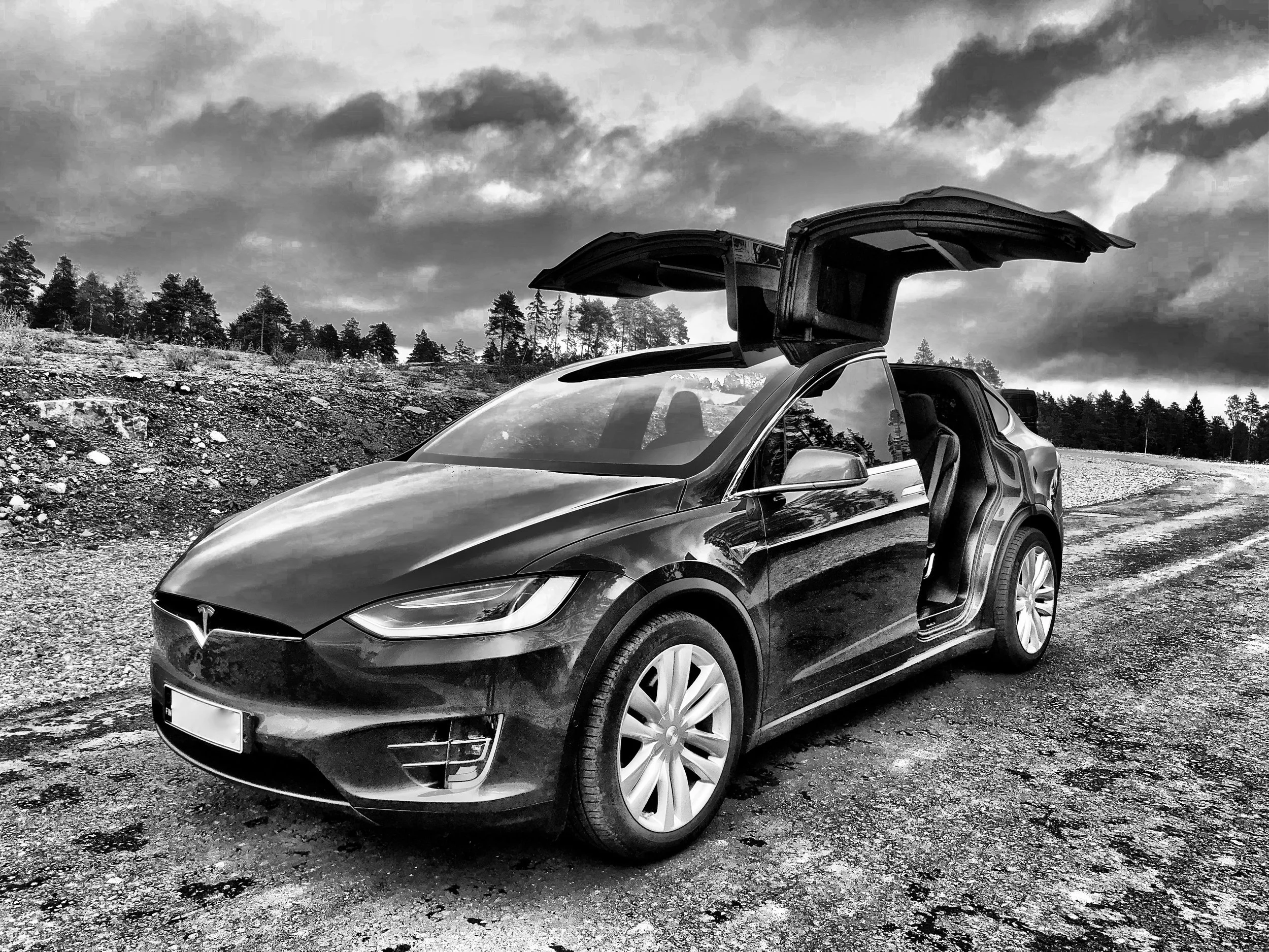 Tesla Model X Performance  2018