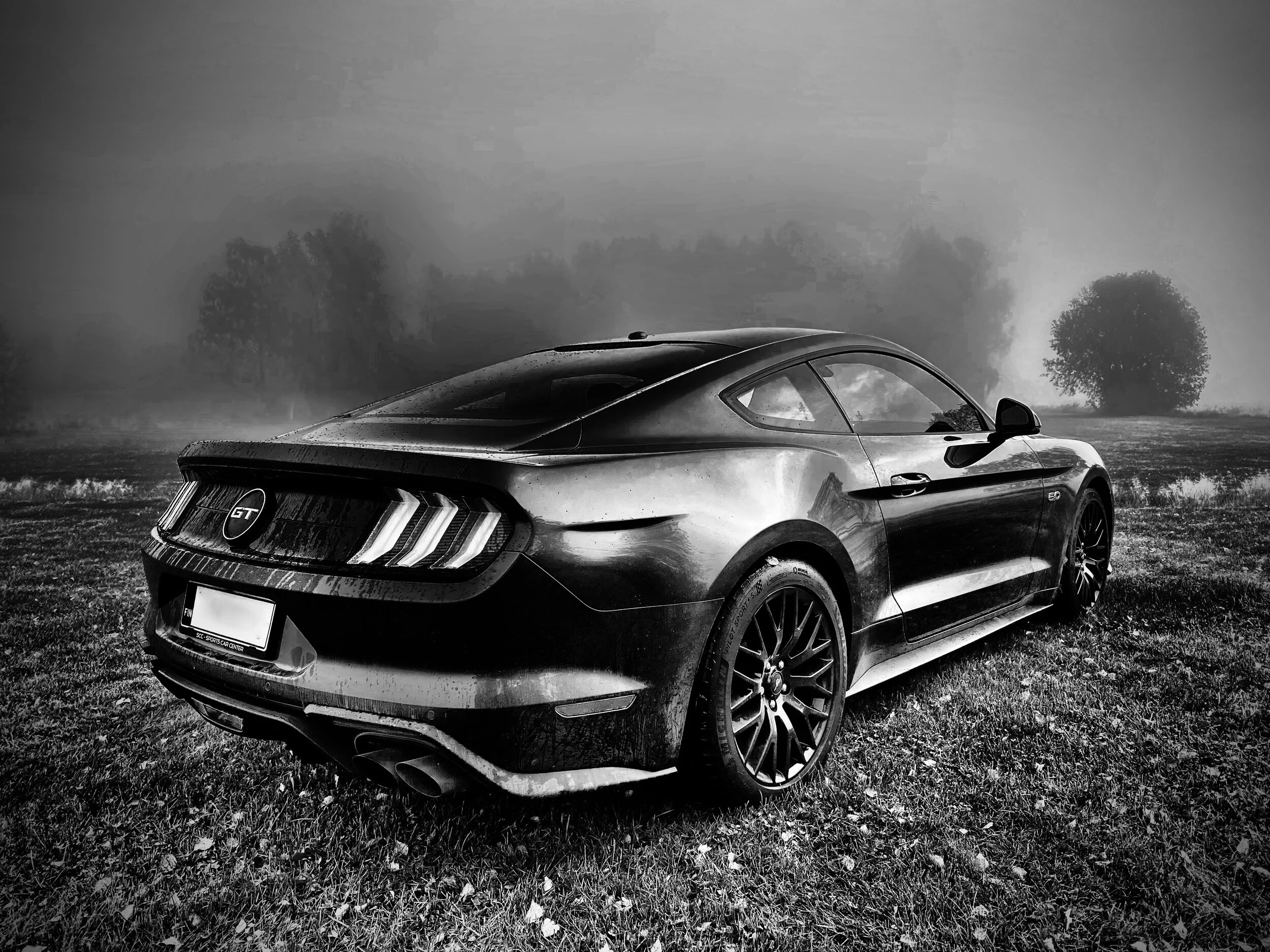 Ford Mustang GT 2019