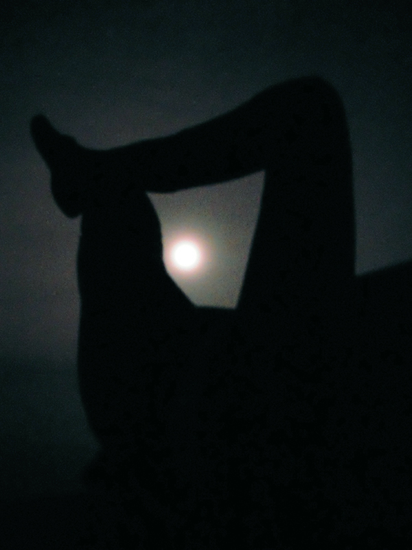   Moon , 22" x 18" (unframed), Chromira print on Kodak Matte Paper, 2010 