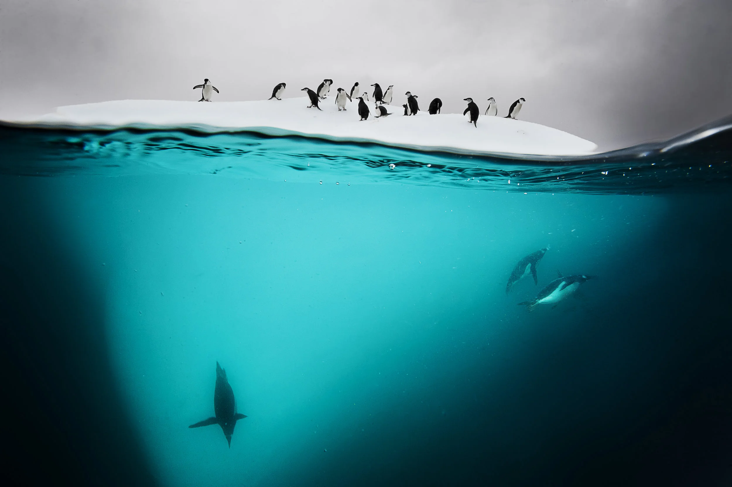 NationalGeographic_2193091.jpg