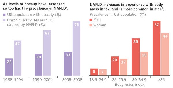 NAFLD PRevalence.jpg