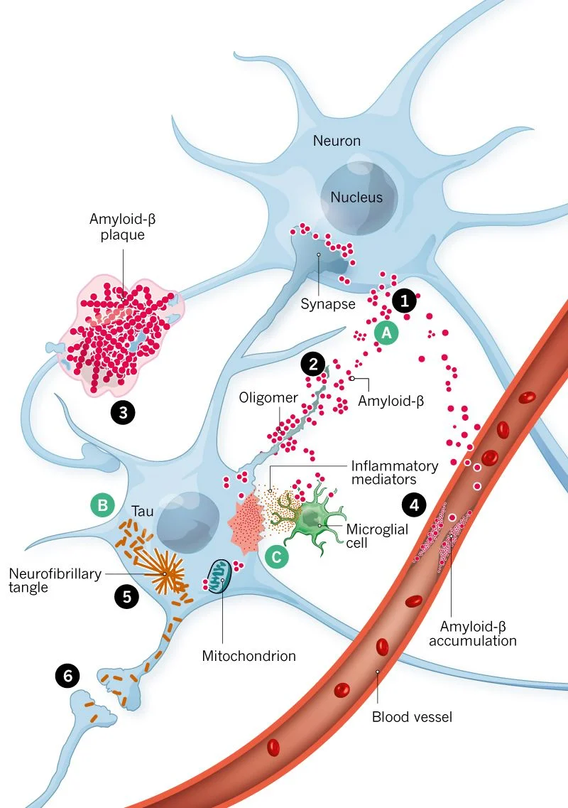 fig 7.jpg