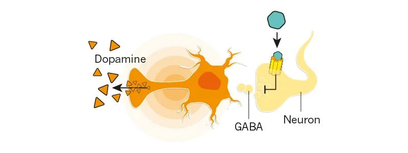 11 gaba.jpg