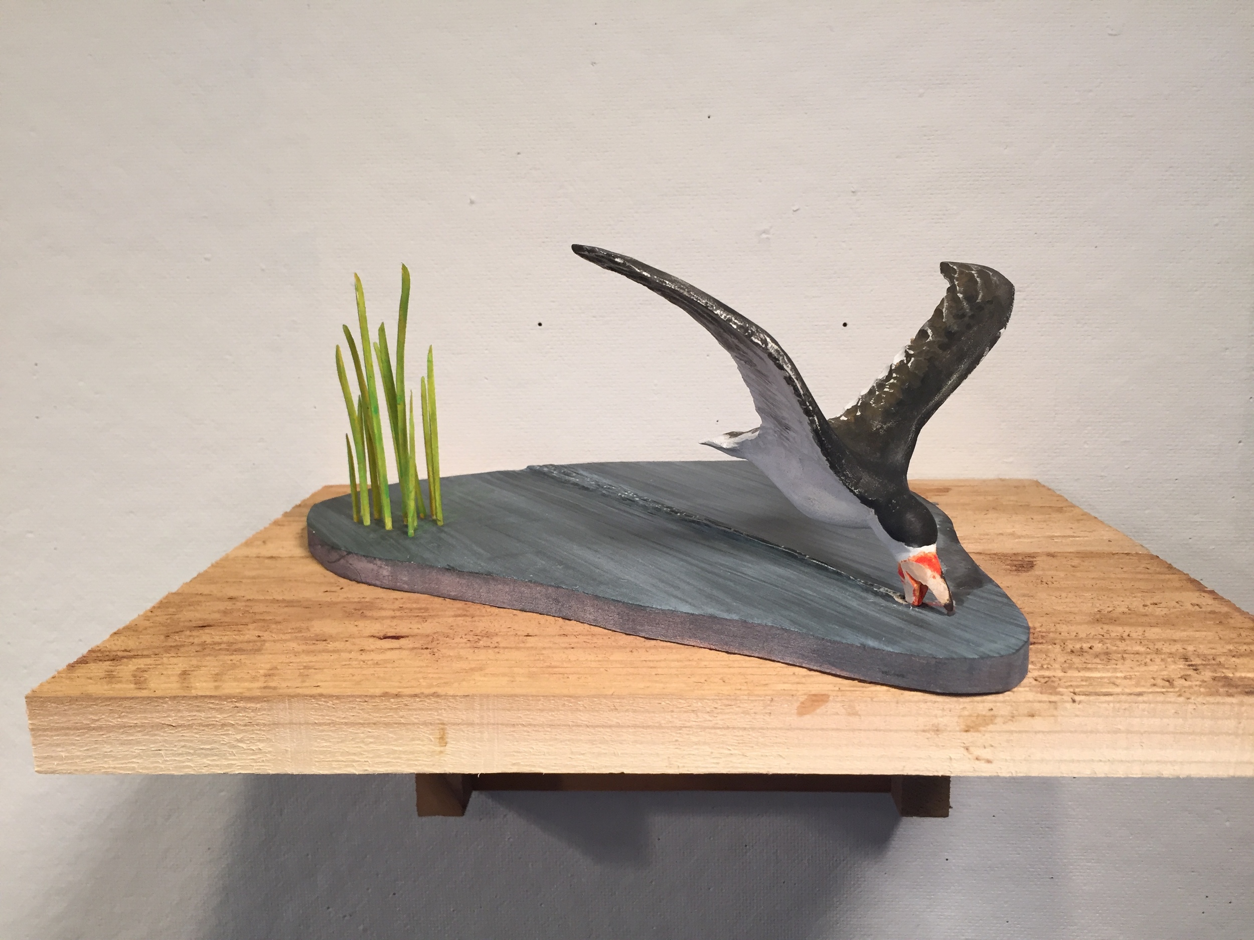 This is a maquette for a larger carving. The beak on this skimmer is still in progress (it needs some slimming and some painting.) This maquette measures approximately 11" long and 4 1/2" high, painted basswood. 