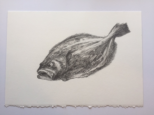 Fluke, pencil on paper, 7" x 10"