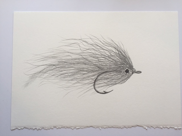 Bucktail Deceiver, pencil on paper, 7" x 10"