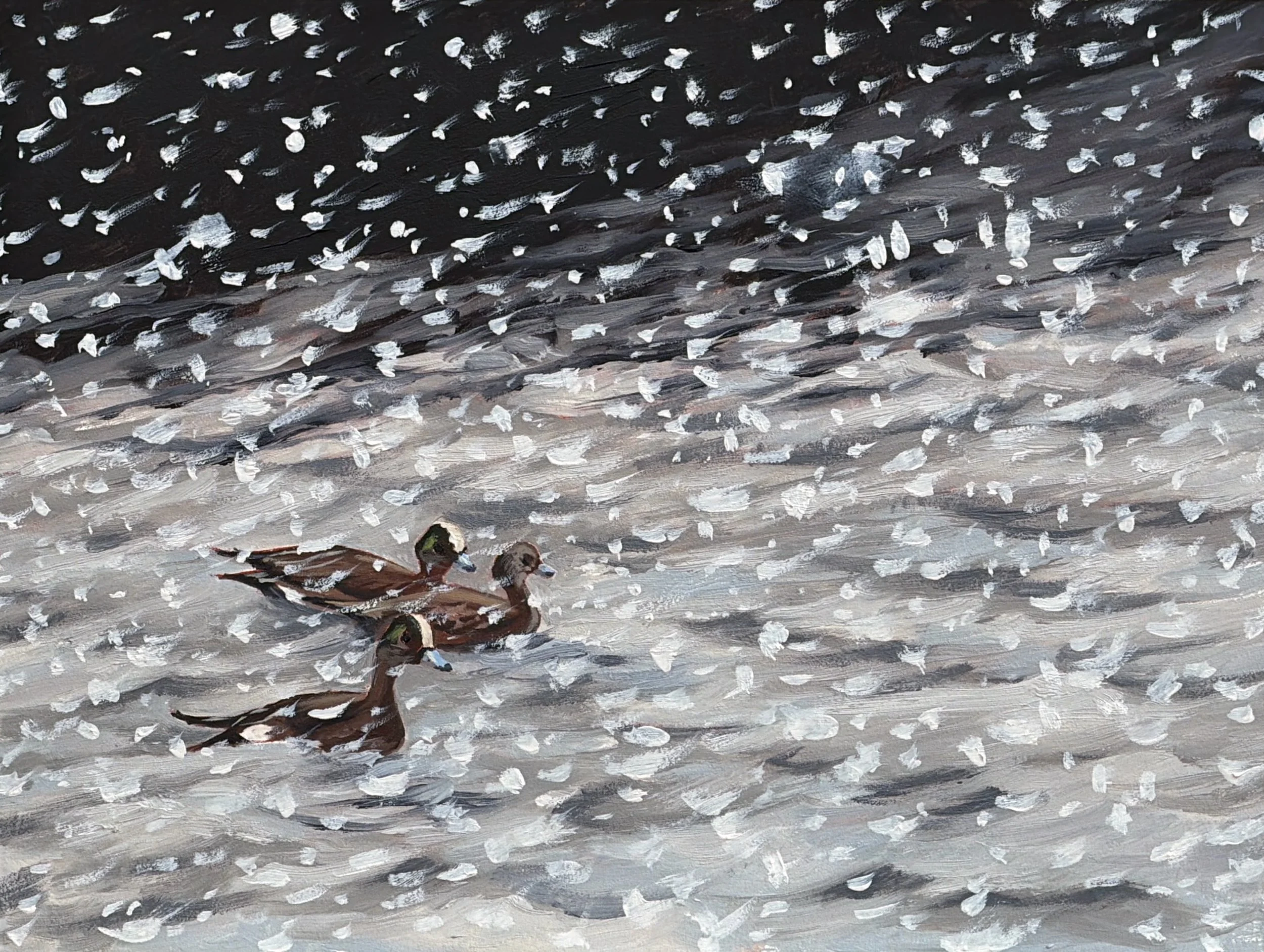 Wigeons in a Snowstorm | Oil on panel | 6" x 8" | 2026