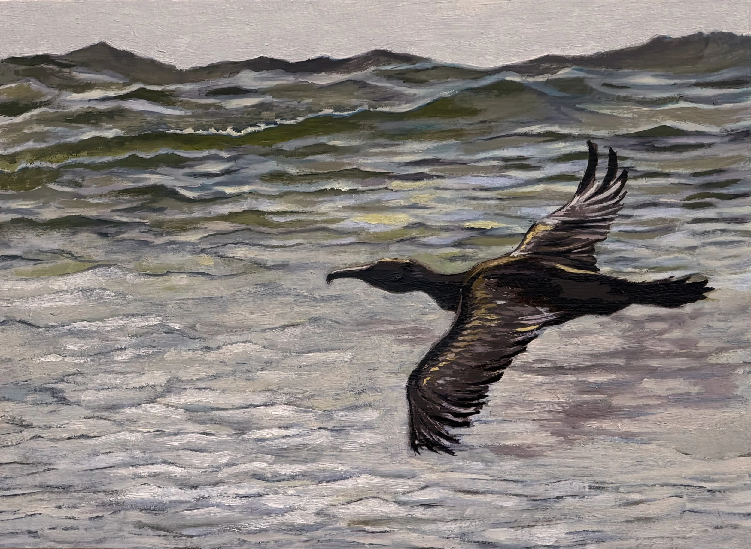 Untitled | Oil on panel | 6.5" x 9" | 2025