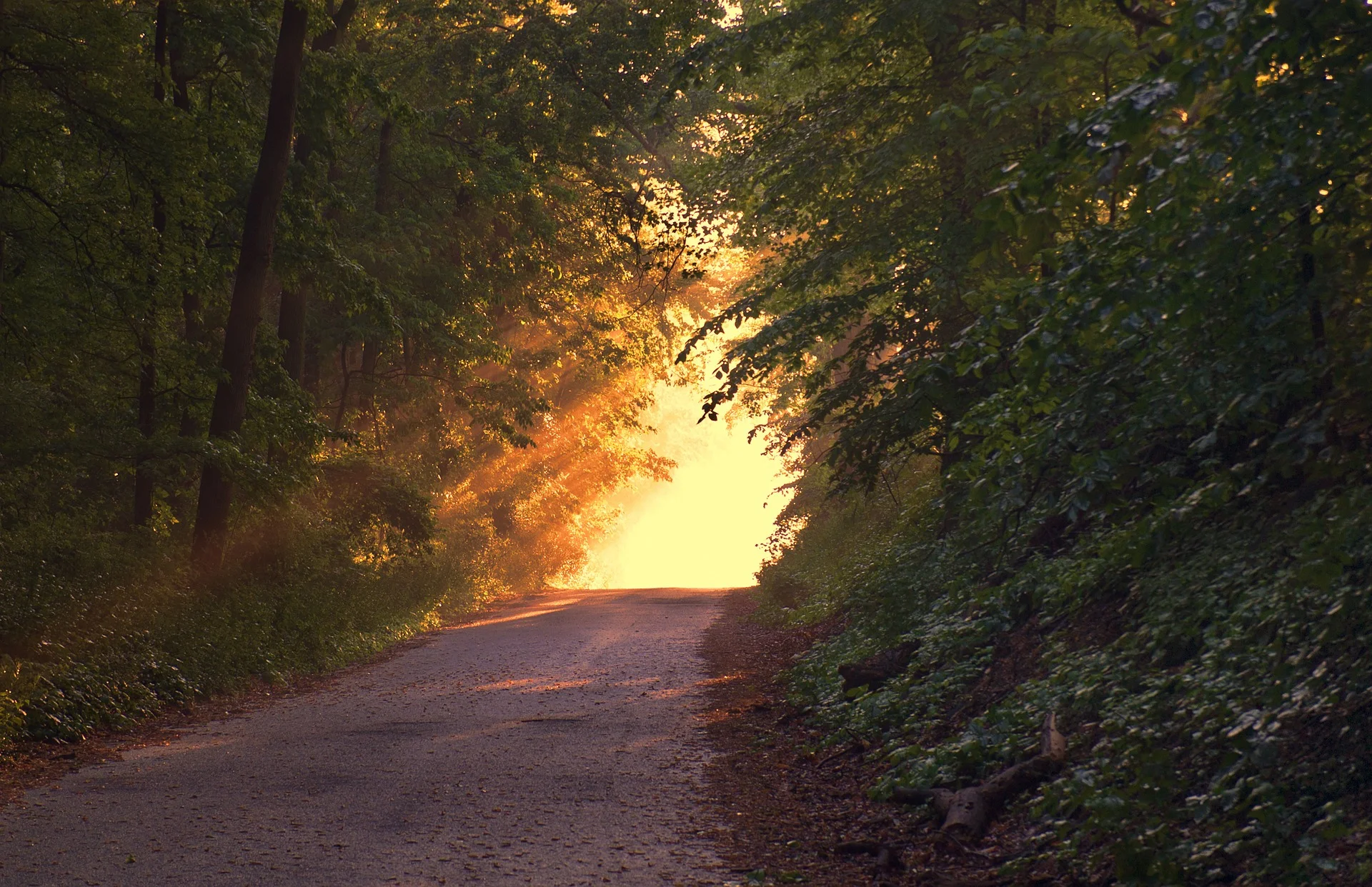 sunlight-166733_1920.jpg