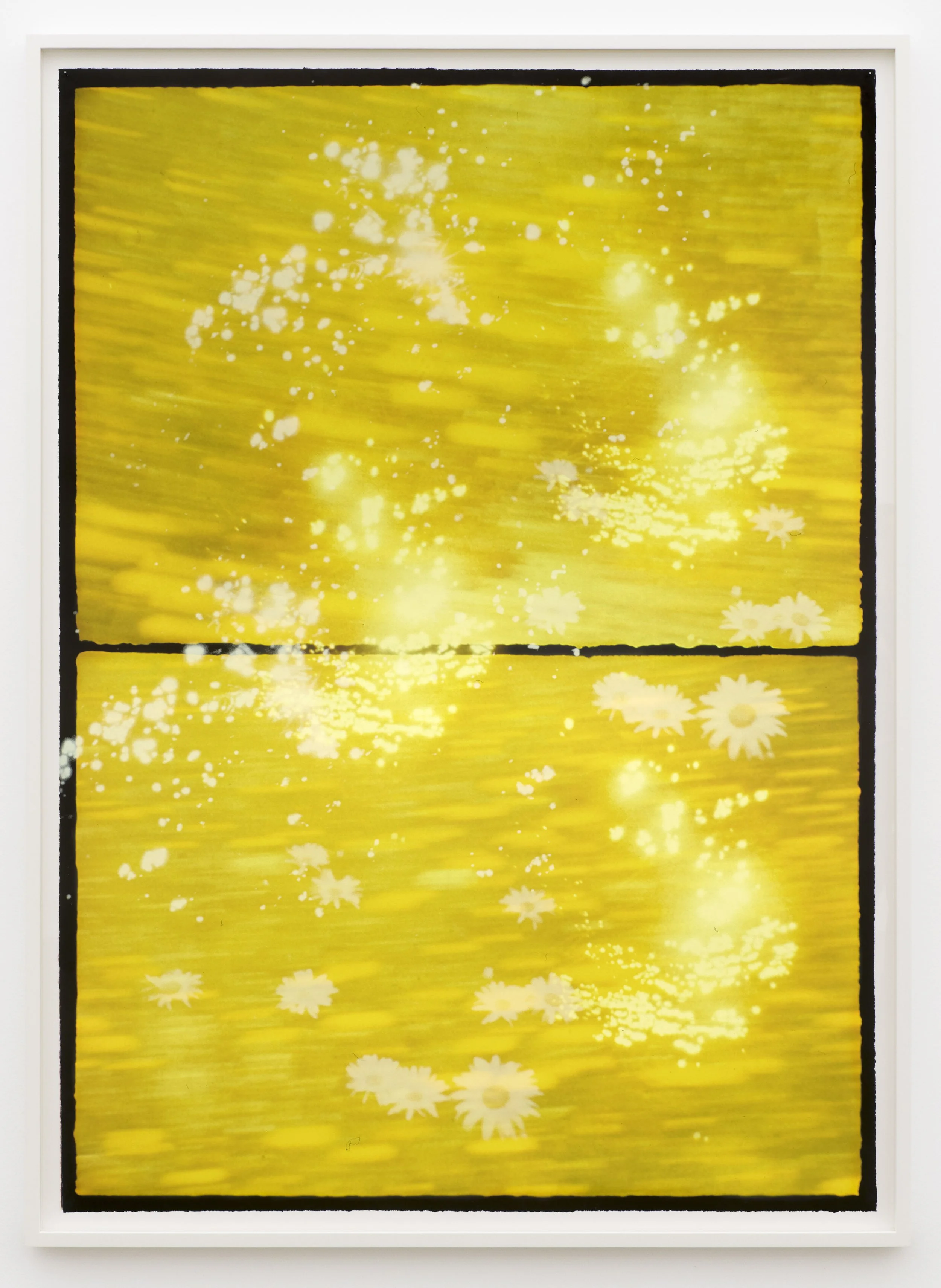  The Light of Day  2025. Colour reversal film on velvet paper, unique acrylic screenprint, varnish 175 x 125 cm. 