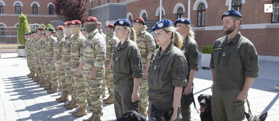 Krisenerklärer mit österreichischem Blick