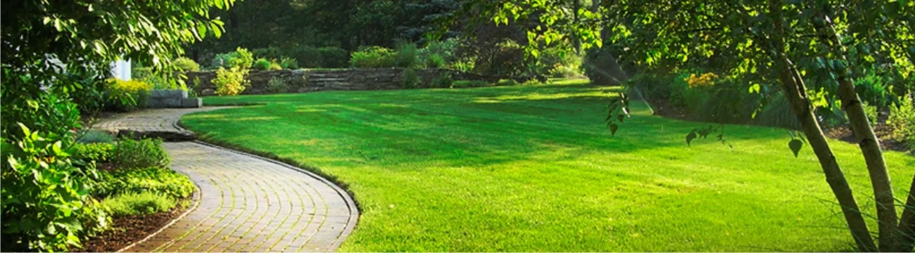 walkway.jpg