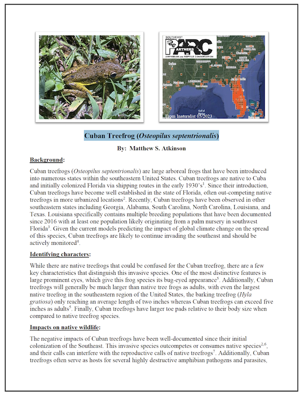 Fact Sheet: Cuban Treefrog (Osteopilus septentrionalis)