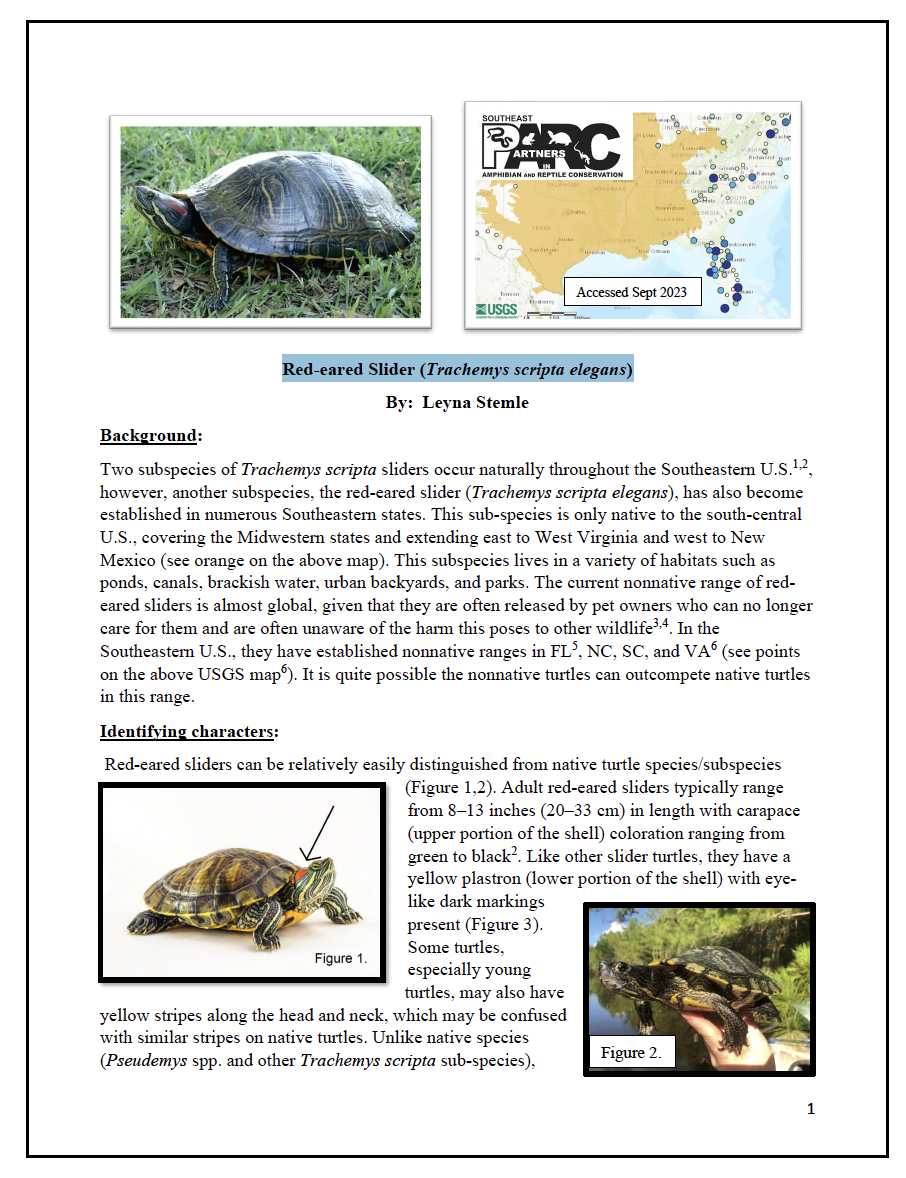 Fact Sheet: Red-eared Slider (Trachemys scripta elegans)