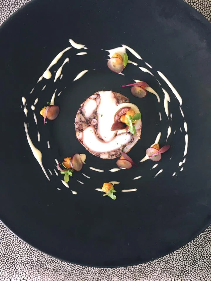 octopus .jpg