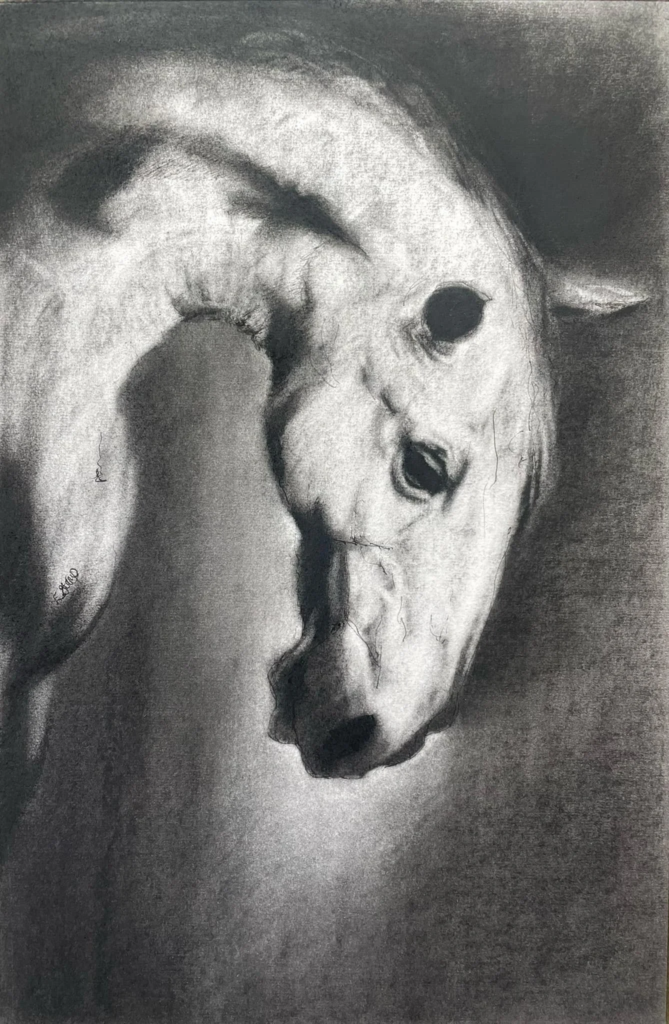 Study of a Kind White Face.jpeg