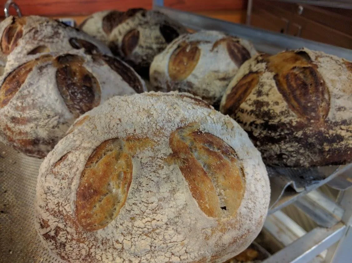 Sand Dollar Sourdough