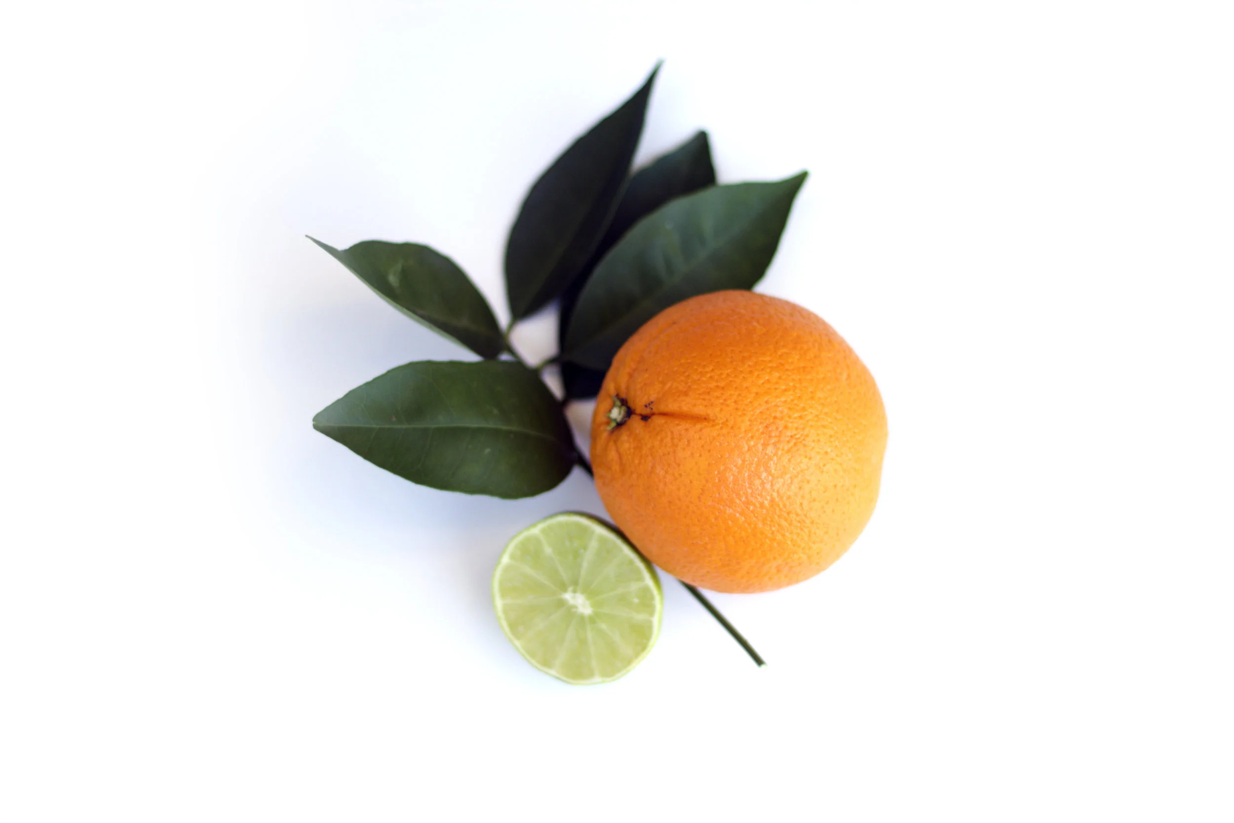 orange with lime and leaves 2.jpg