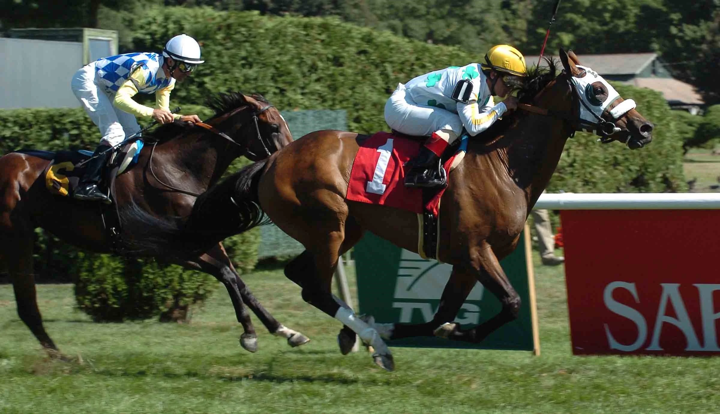 Kats Golden Ways - August 5, 2007 at Saratoga