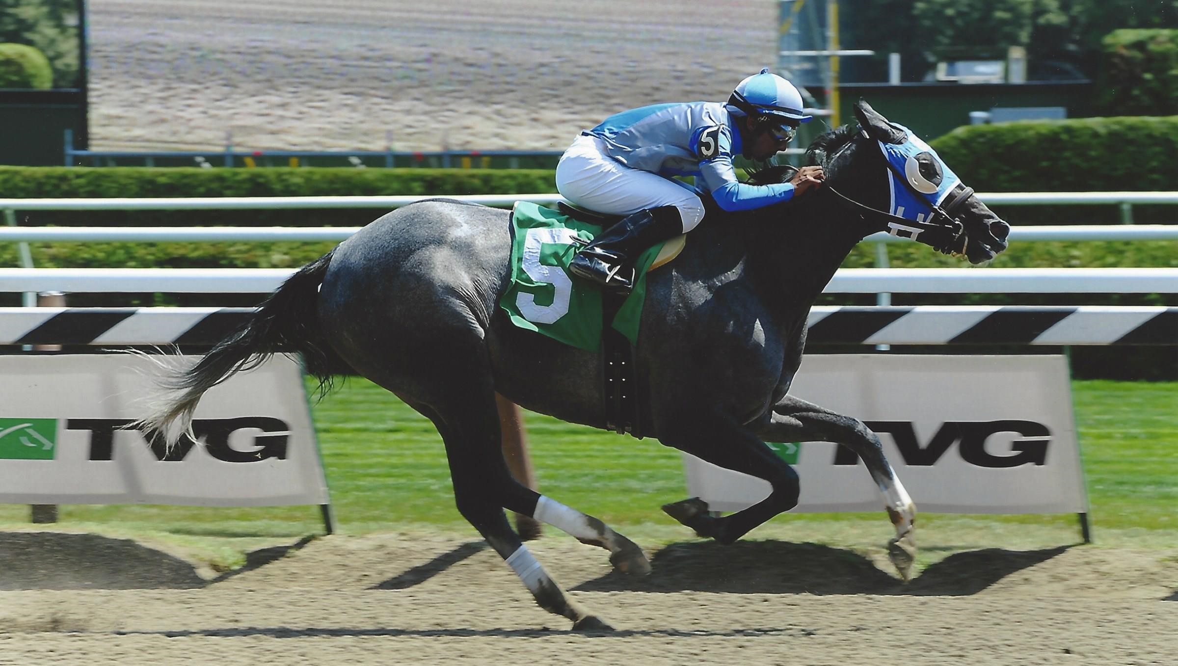 Clear Pasaj - July 12, 2012 at Saratoga