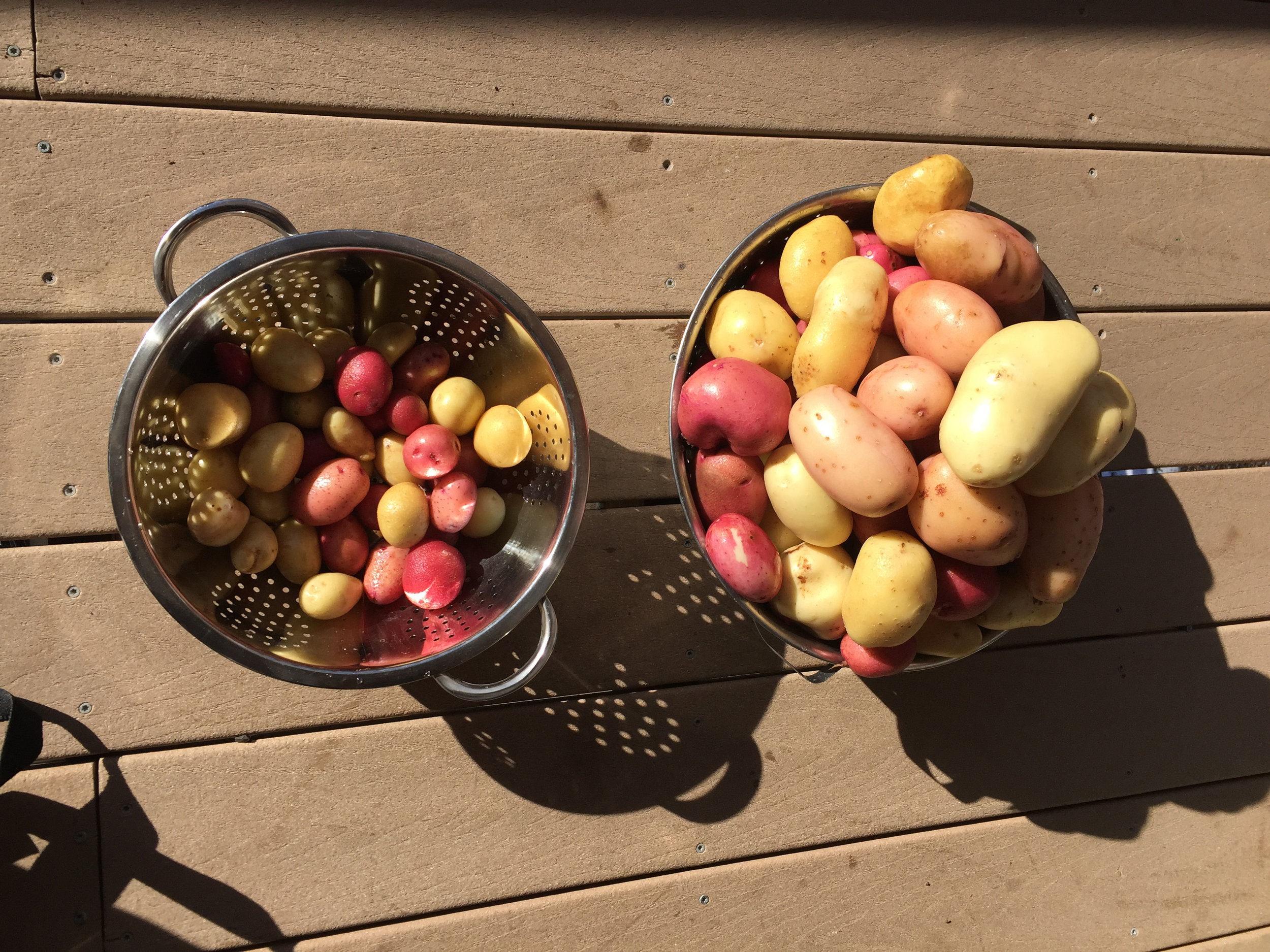 Potatoes Colanders Adj.jpg