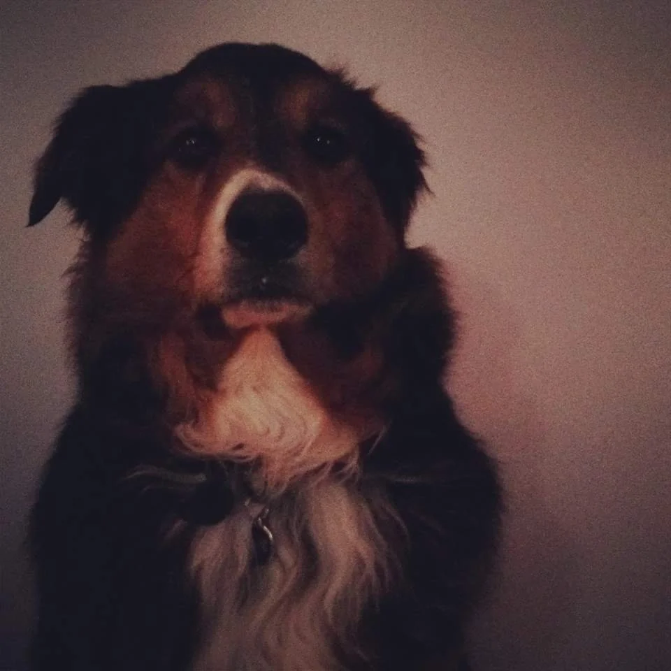 Santiago, the best boy